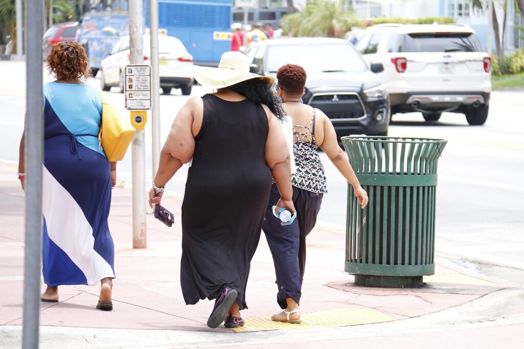 obesity, fat, nutritionist, city, people, metropolis, steps, obesity, obesity, obesity, obesity, fat, fat, fat, fat, fat